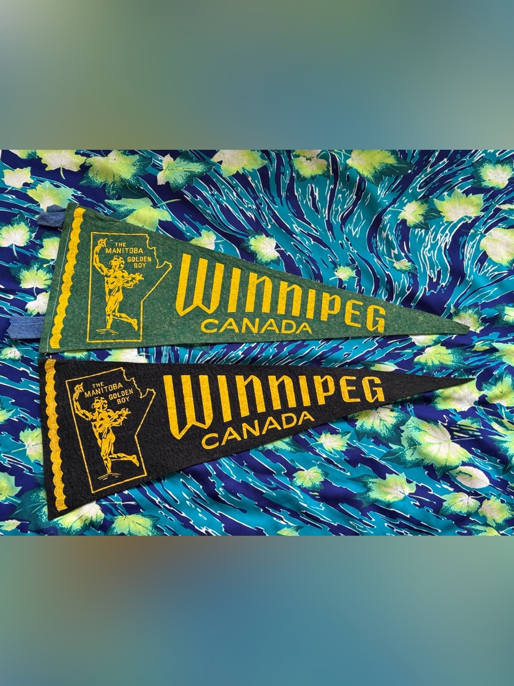2/$30 ✨Vintage Winnipeg Pennant Flag - Manitoba’s Golden Boy✨